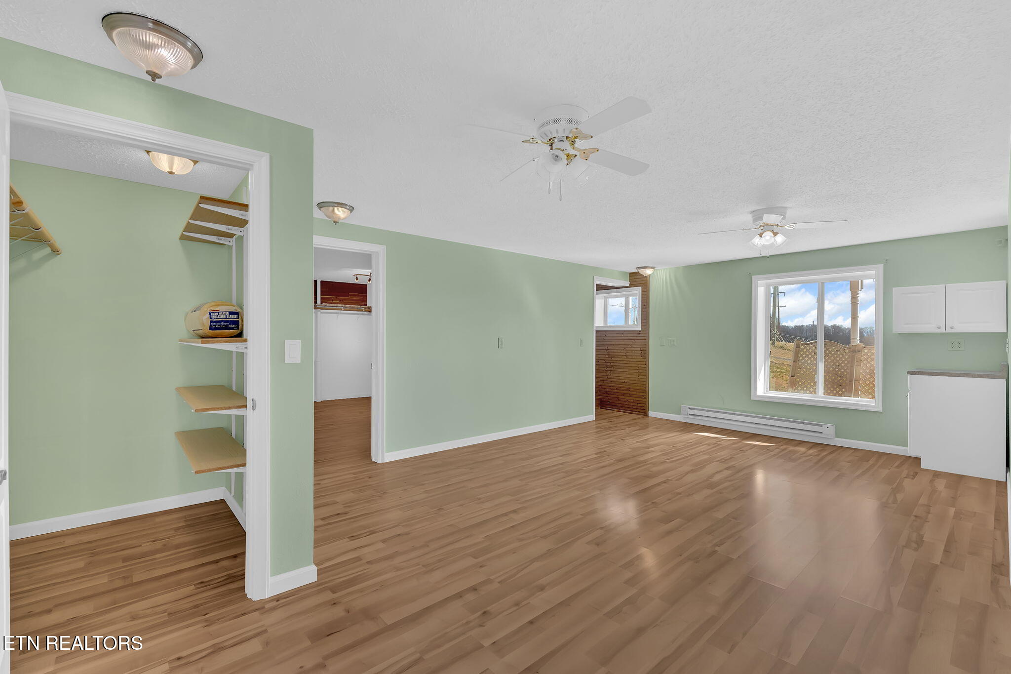 731 Sam Martin Road Dandridge, TN 37725 - Photo 26 of 60 Rec Room & Closet