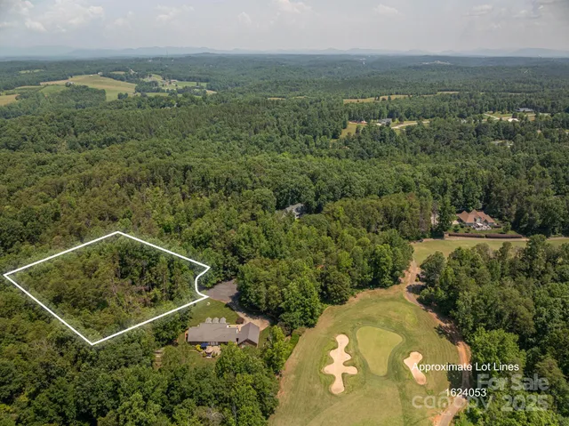 an aerial view of a residential houses with outdoor space and trees