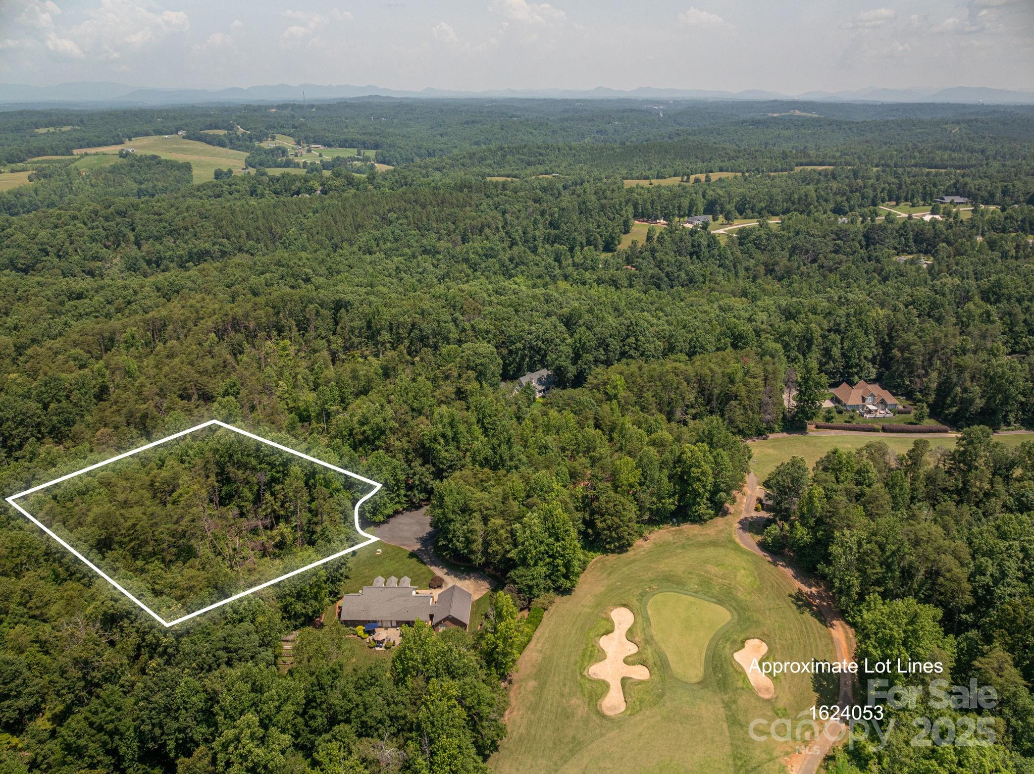 an aerial view of a residential houses with outdoor space and trees