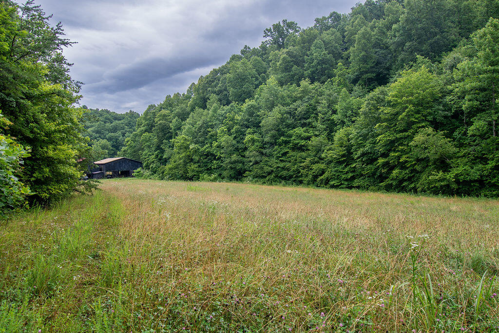 0 R R Vancleve Road Campton, KY 41301 - Photo 12 of 22 DSC_1788