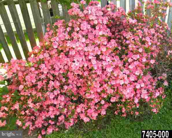738 Priority Road, Unit 171 York, PA 17404 - Photo 12 of 28 Gallery Image 12