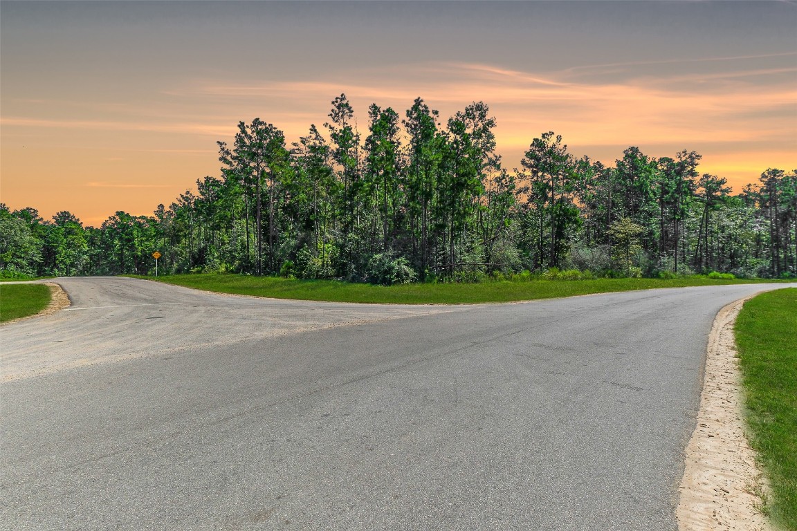 a view of a road with a yard