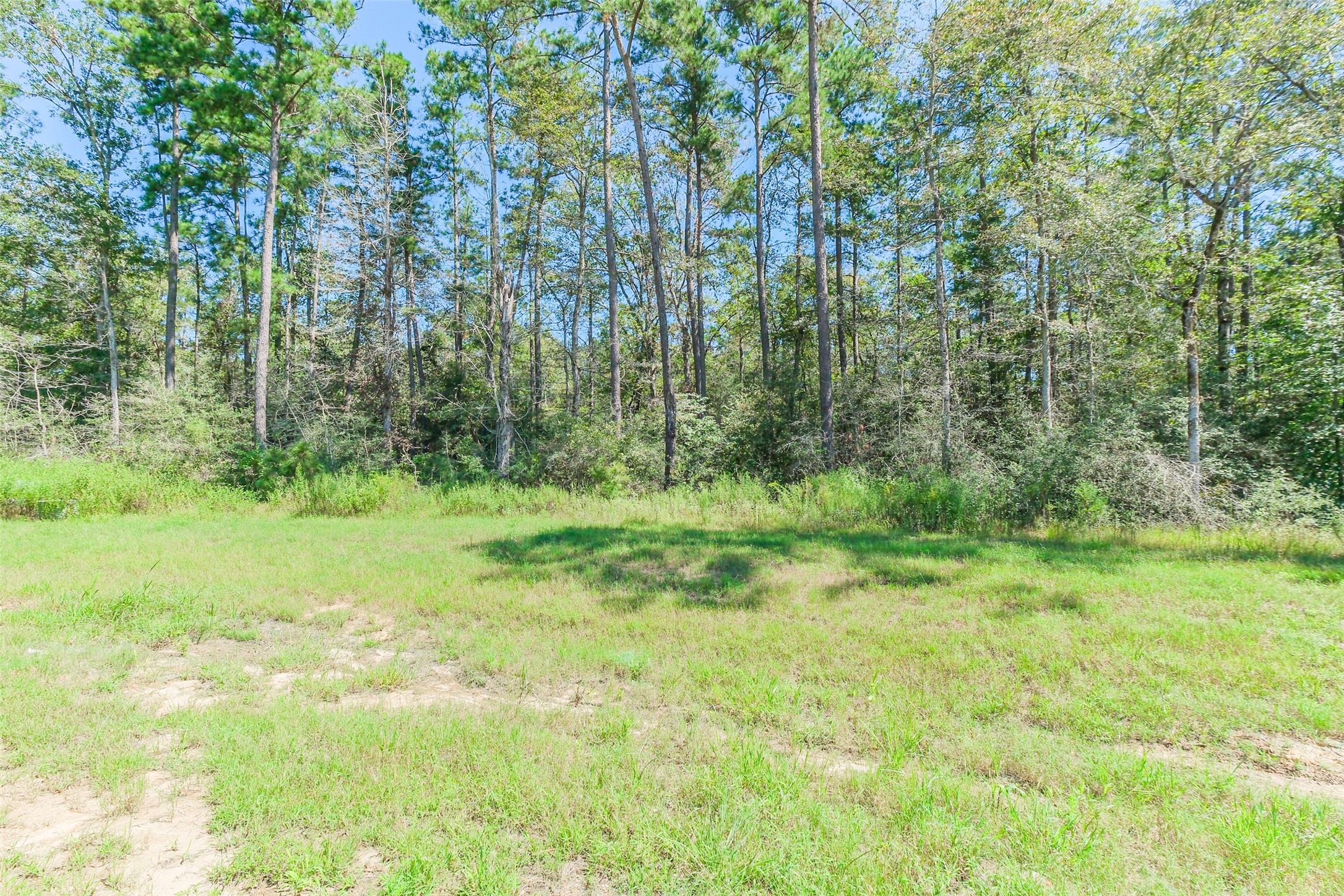 10711 Ruger Road Willis, TX 77378 - Photo 12 of 15