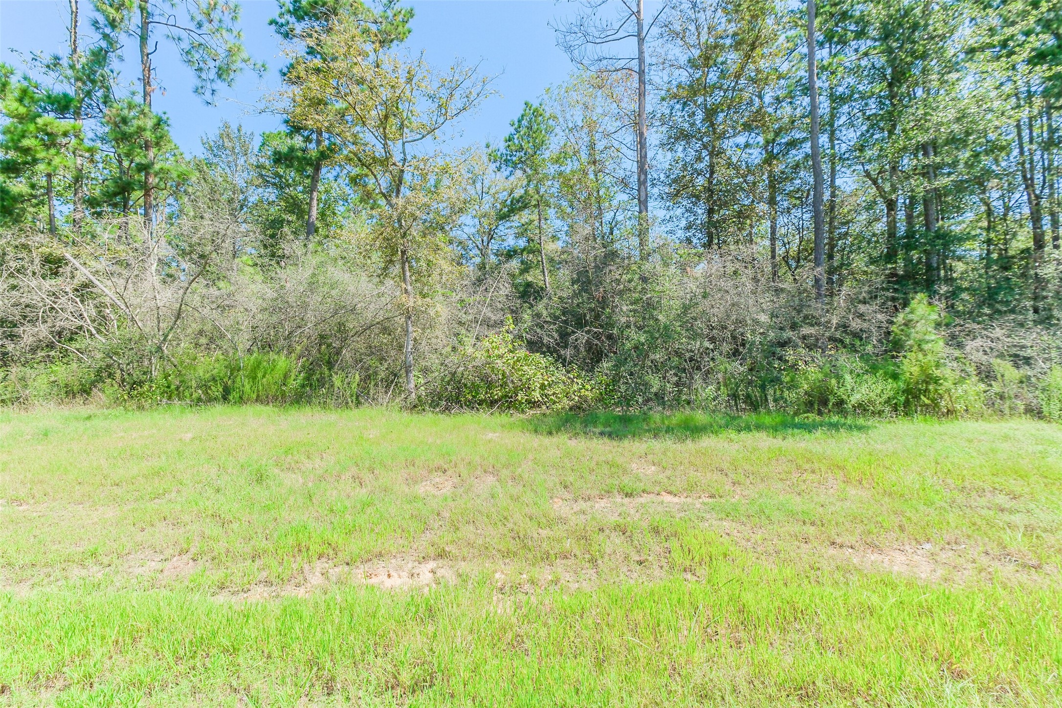 10711 Ruger Road Willis, TX 77378 - Photo 13 of 15