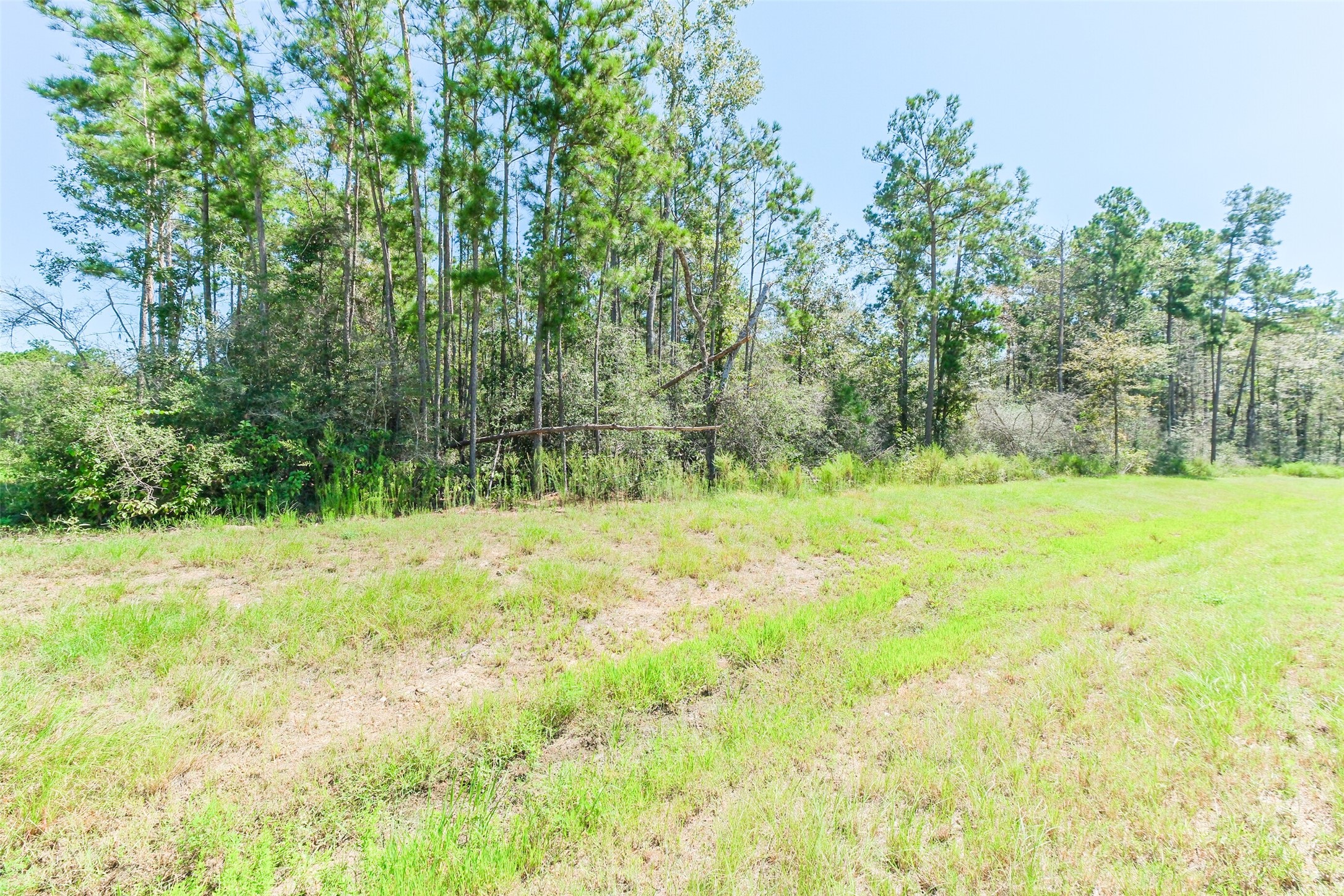 10711 Ruger Road Willis, TX 77378 - Photo 14 of 15