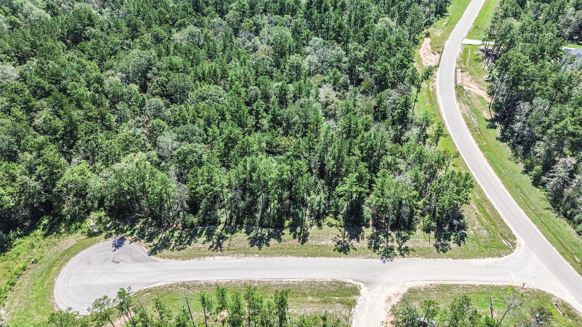 10711 Ruger Road Willis, TX 77378 - Photo 2 of 15