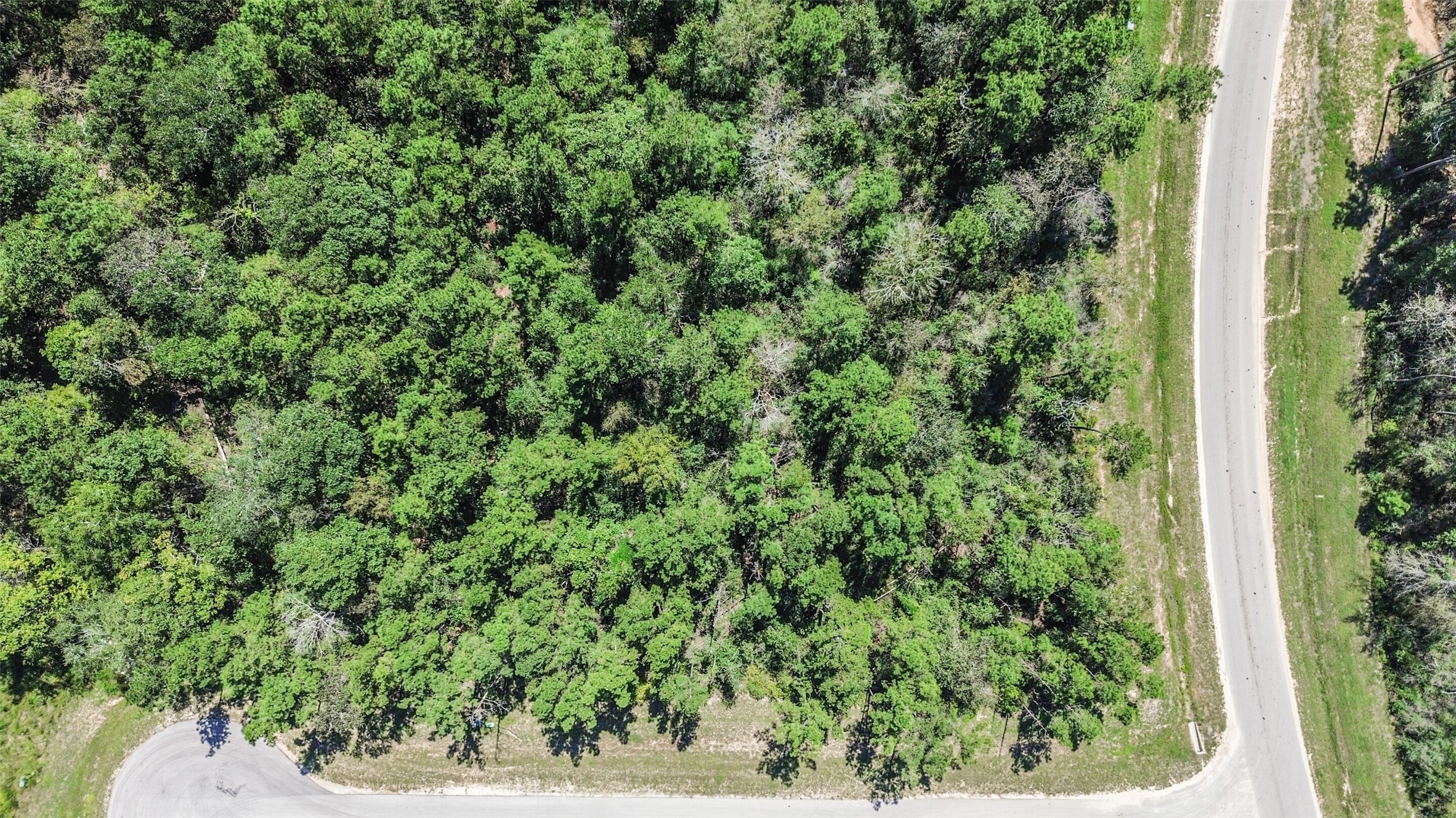 10711 Ruger Road Willis, TX 77378 - Photo 3 of 15