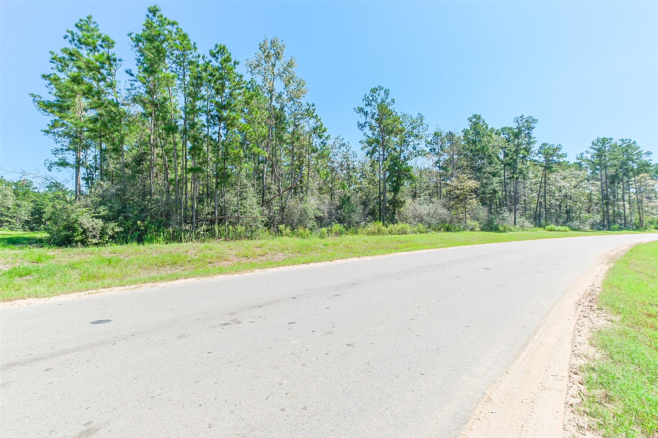 10711 Ruger Road Willis, TX 77378 - Photo 4 of 15