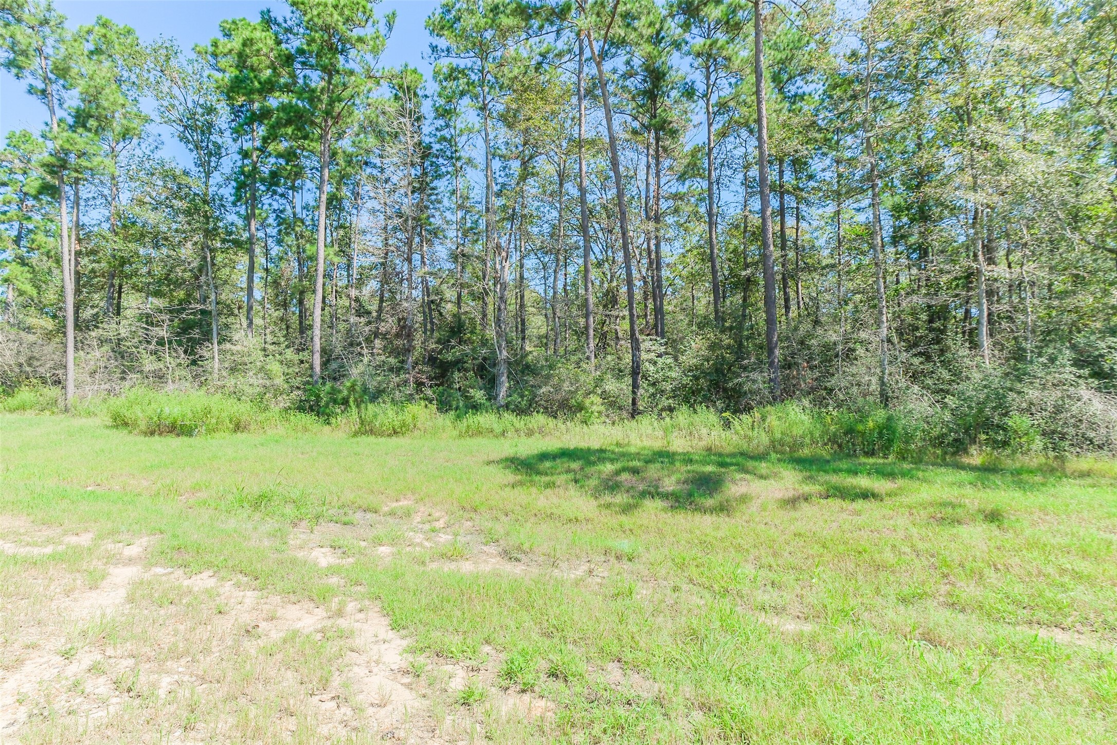 10711 Ruger Road Willis, TX 77378 - Photo 5 of 15