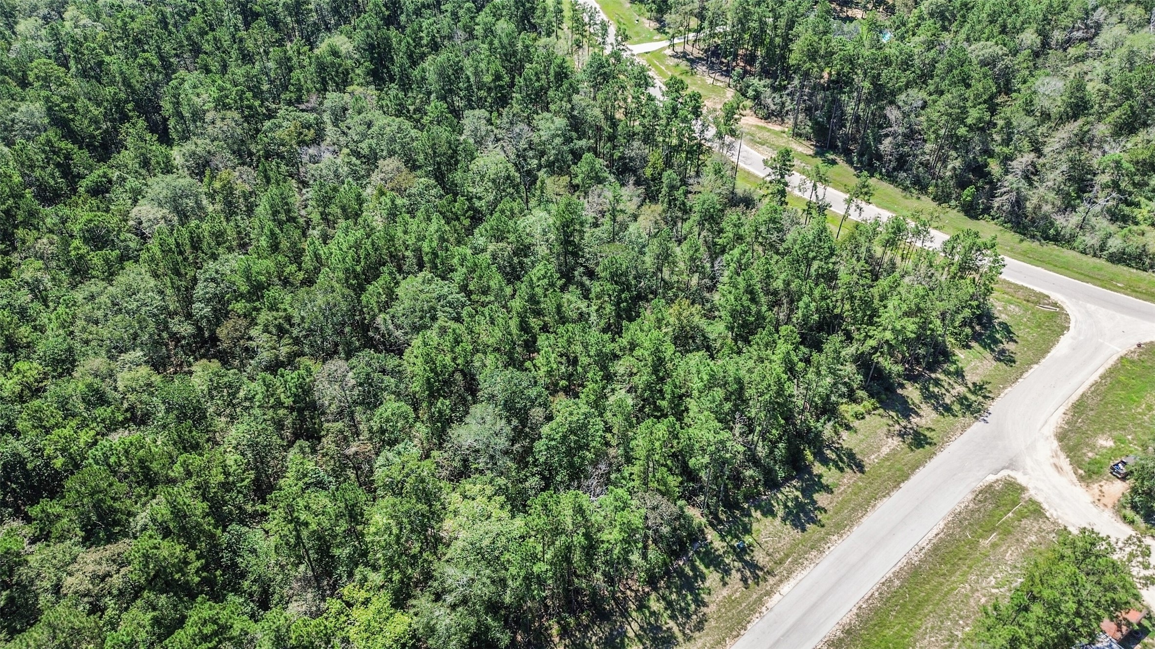 10711 Ruger Road Willis, TX 77378 - Photo 9 of 15