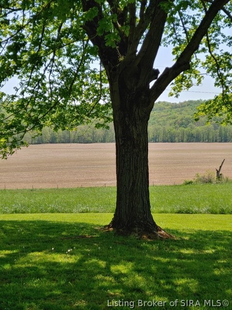 14716 McBride Bluff Road Shoals, IN 47581 - Photo 7 of 41