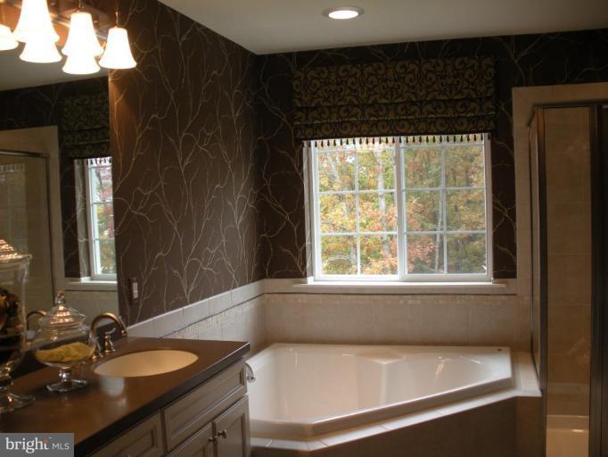 4231 Forge Road Perry Hall, MD 21128 - Photo 6 of 10 a bathroom with a sink and a bathtub