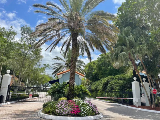 a view of a palm trees front of house