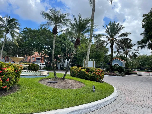 a view of a swimming pool with lawn chairs under palm trees