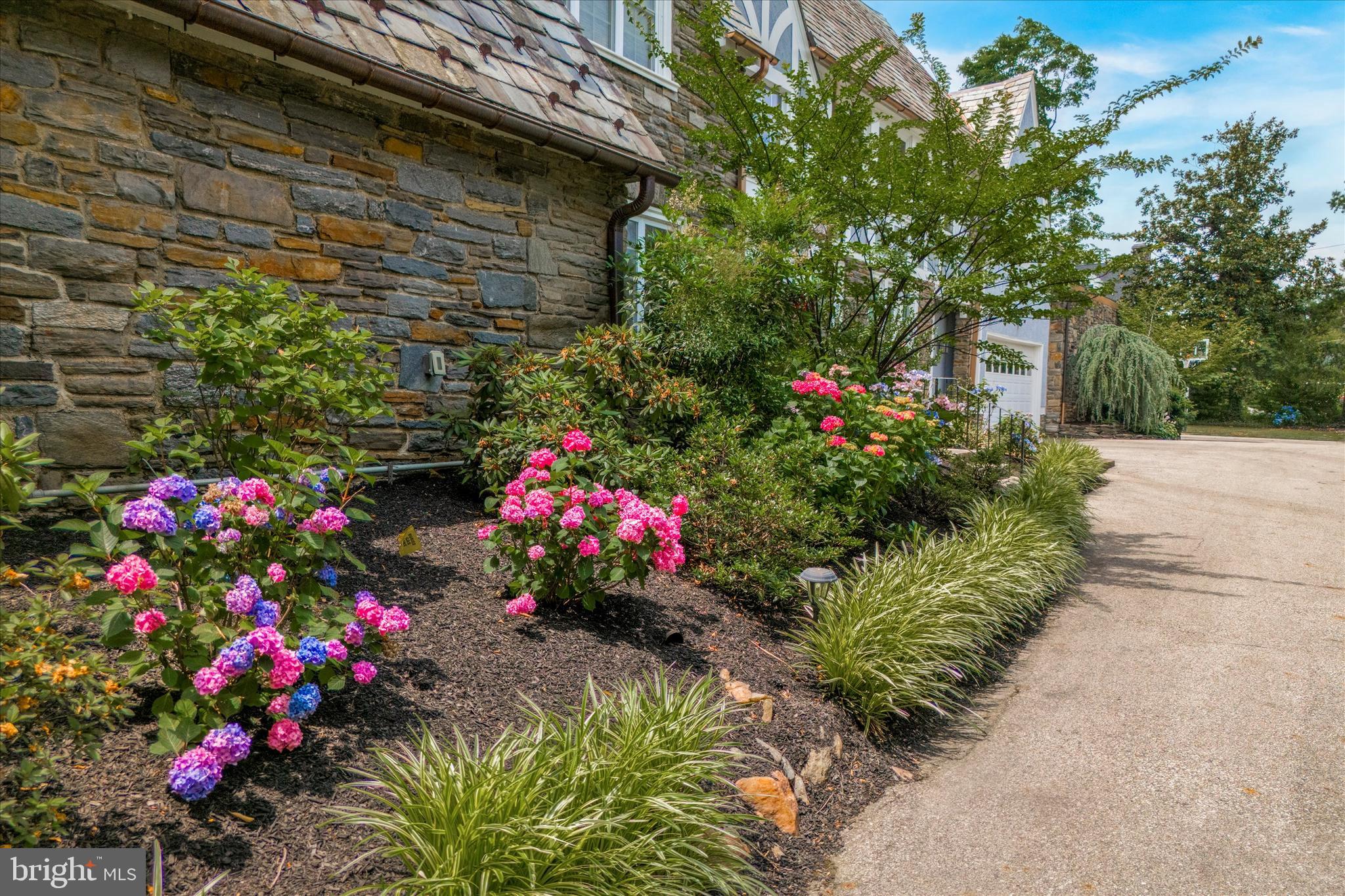 334 Fairhill Road Wynnewood, PA 19096 - Photo 45 of 45 a flower plants in front of flowers