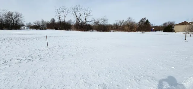 a view of empty field with trees in the background