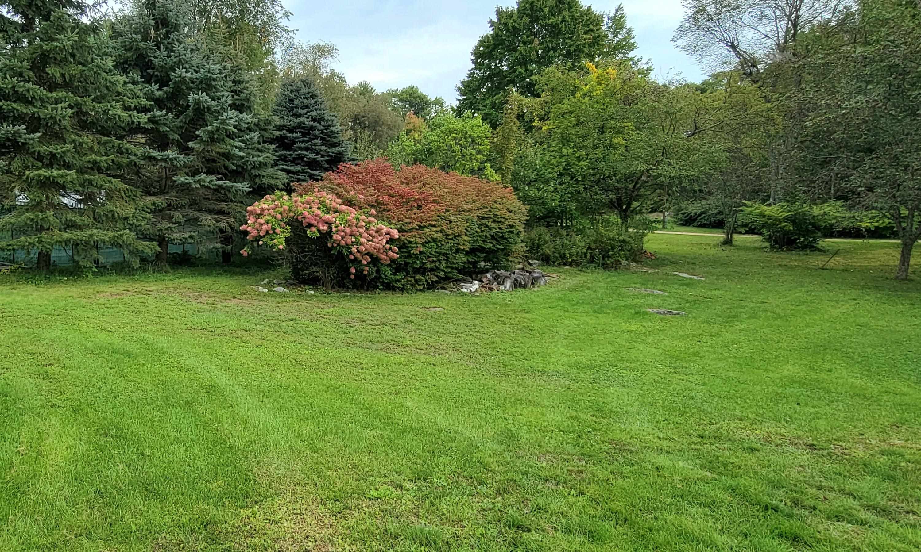 223 Leavitt Road Pittsfield, NH 03263 - Photo 39 of 40