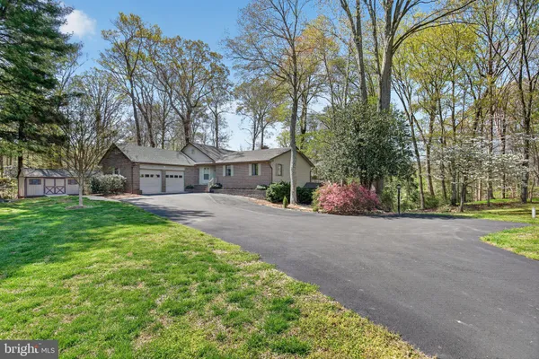 a view of outdoor space with trees all around