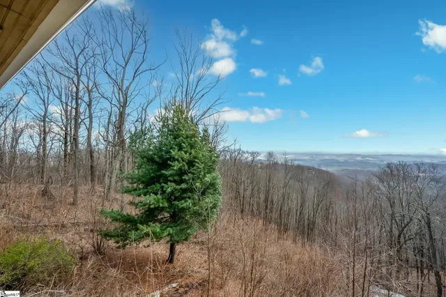 $998,500 | 190 Raven Road, Landrum, SC 29356