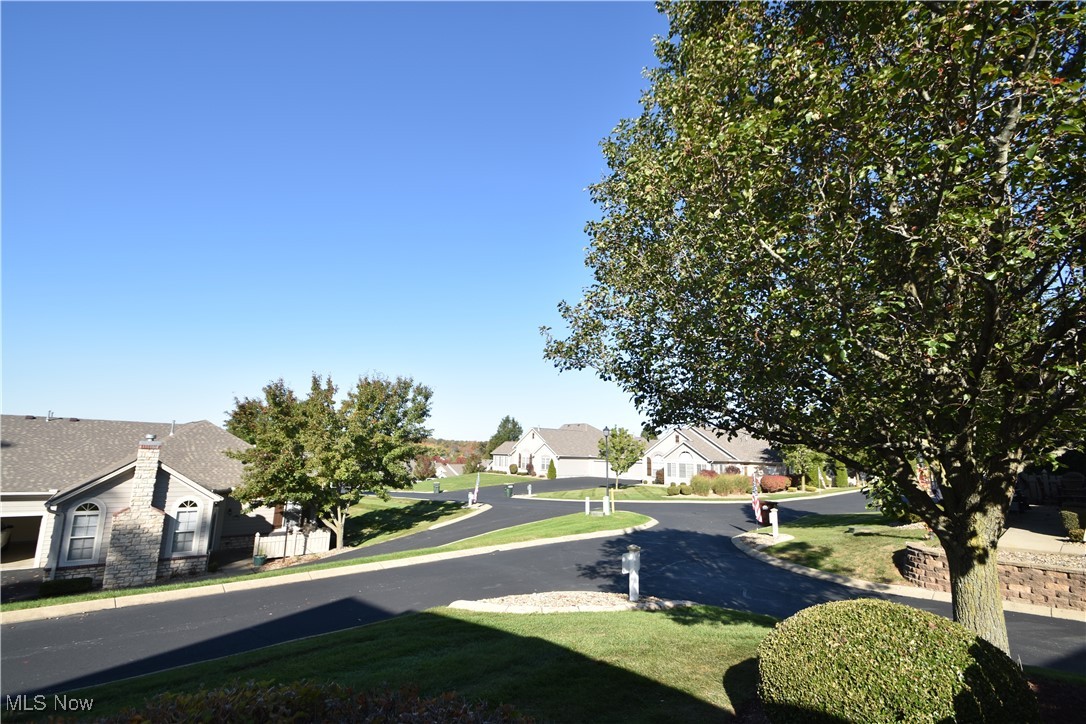 9151 Springfield Road, Unit 1002 Youngstown, OH 44514 - Photo 35 of 38 View of street