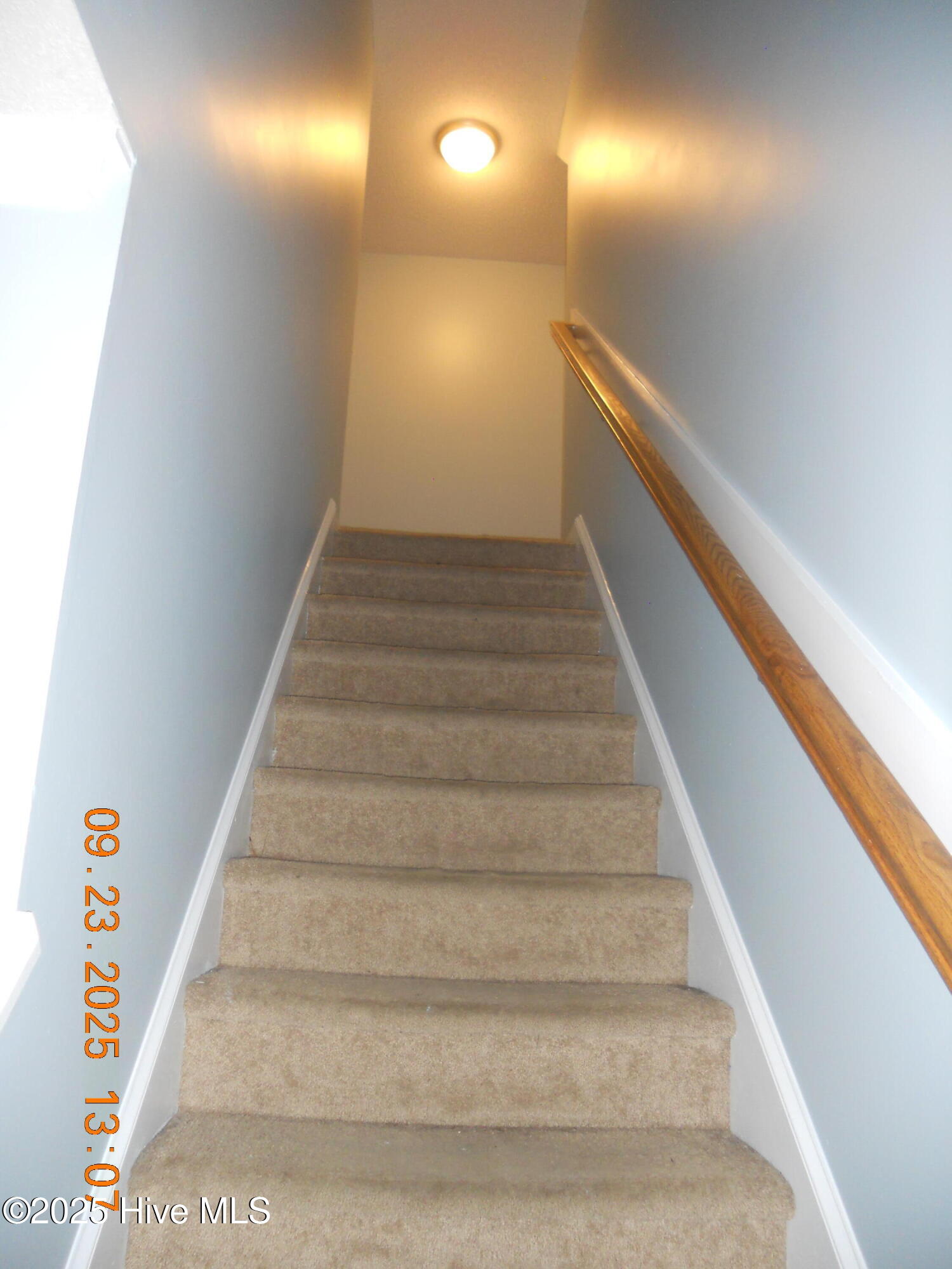 105 Spring Leaf Lane Jacksonville, NC 28540 - Photo 22 of 53 DSCN0516