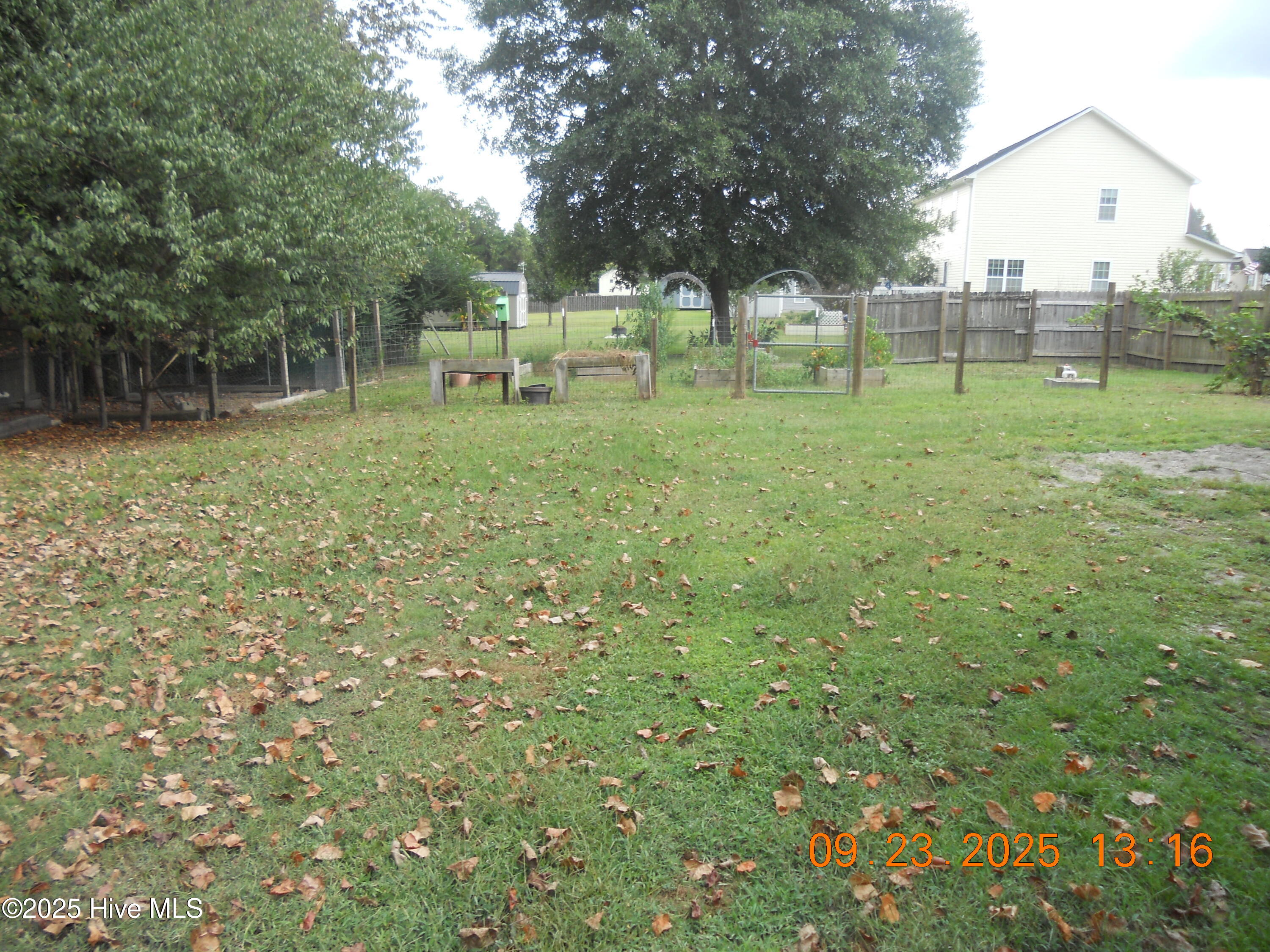 105 Spring Leaf Lane Jacksonville, NC 28540 - Photo 47 of 53 DSCN0555