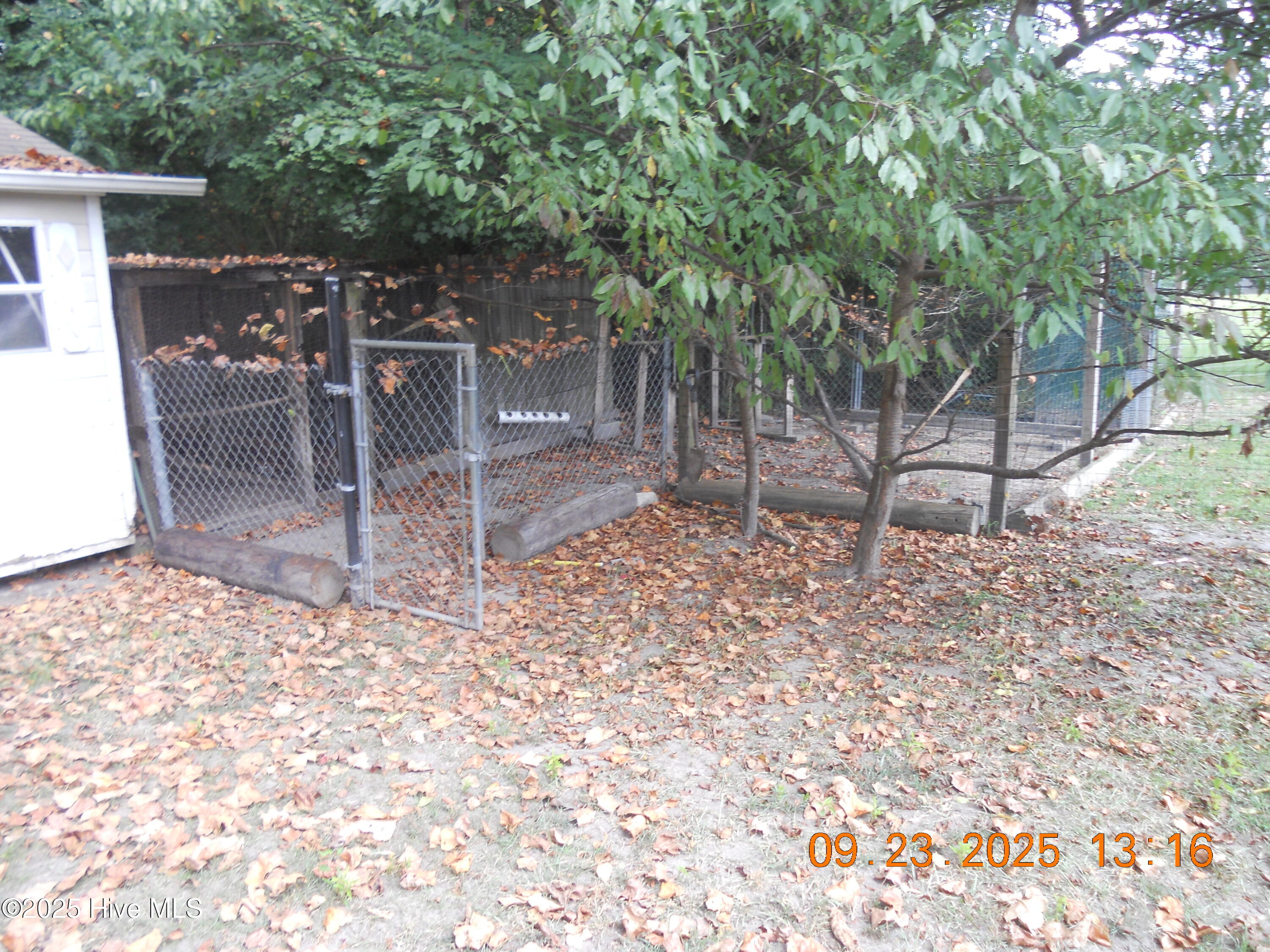 105 Spring Leaf Lane Jacksonville, NC 28540 - Photo 48 of 53 DSCN0556