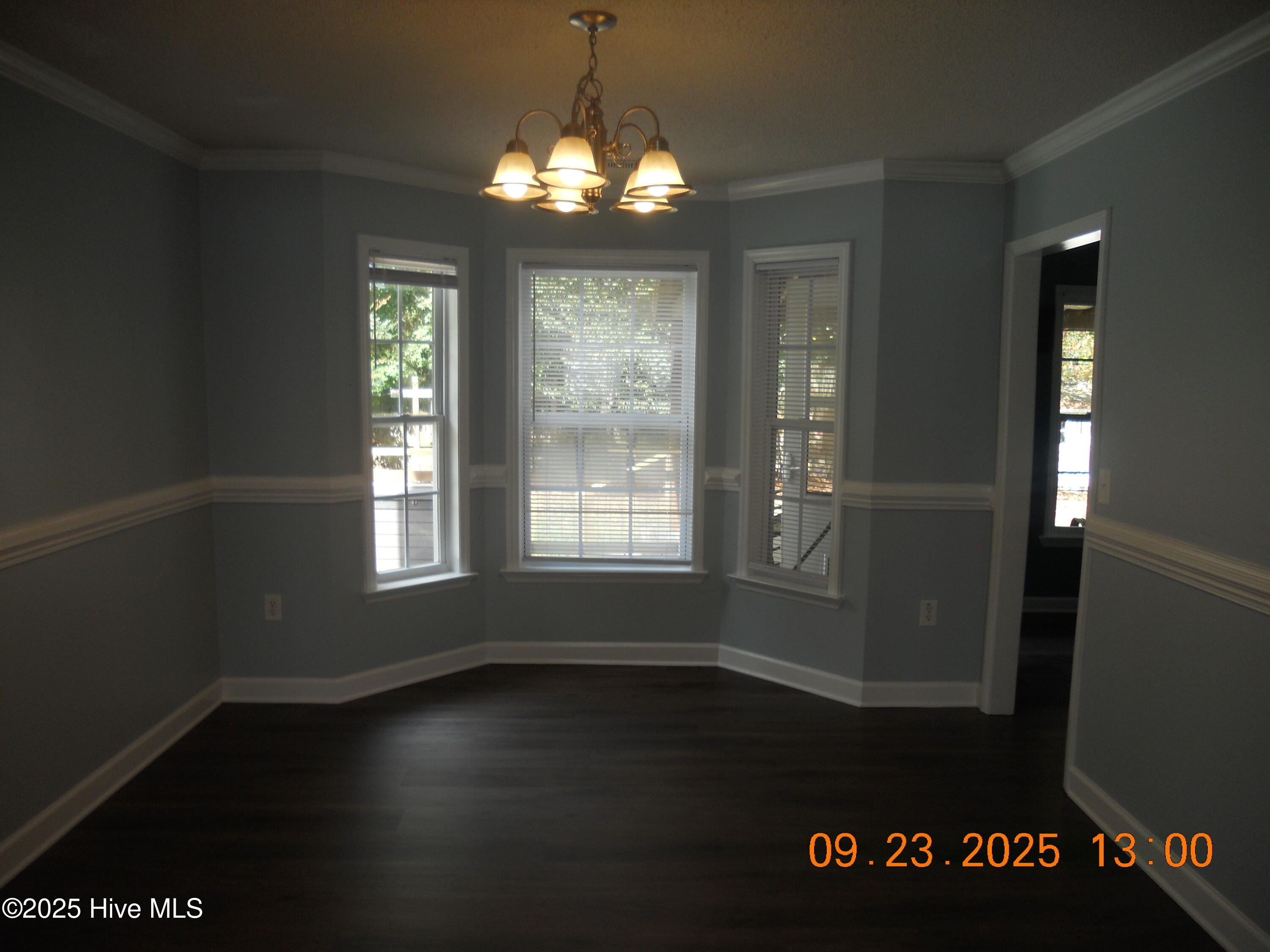 105 Spring Leaf Lane Jacksonville, NC 28540 - Photo 8 of 53 DSCN0491