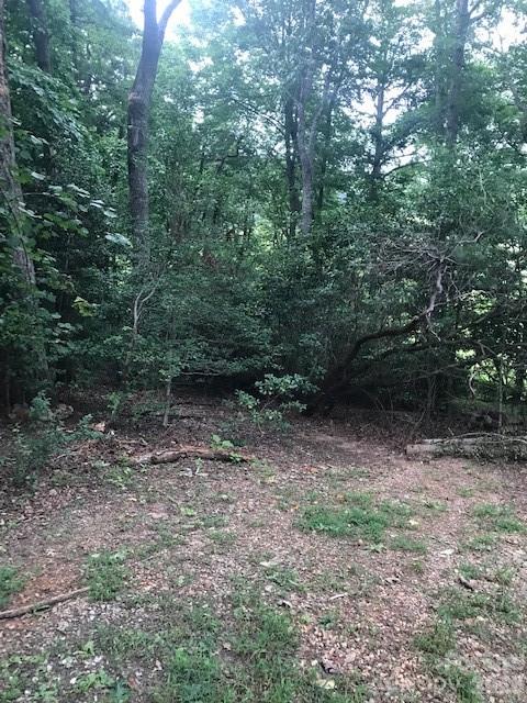 57 Sleepy Gap Road Arden, NC 28704 - Photo 11 of 15 Gallery Image 11