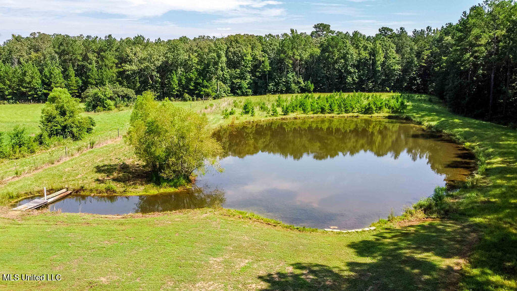 4167 Highway 18 Brandon, MS 39042 - Photo 46 of 73 watson.photography250801103519