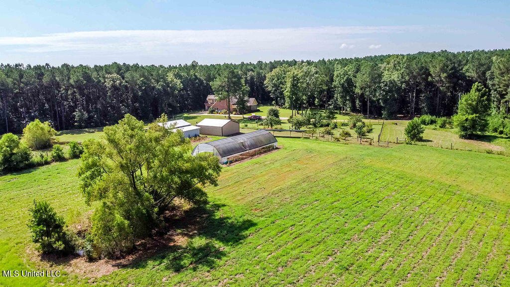 4167 Highway 18 Brandon, MS 39042 - Photo 62 of 73 watson.photography250801103601