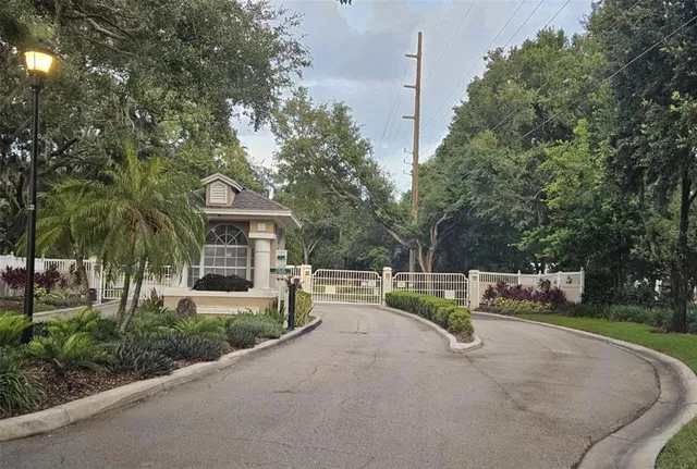 a view of a park with large trees
