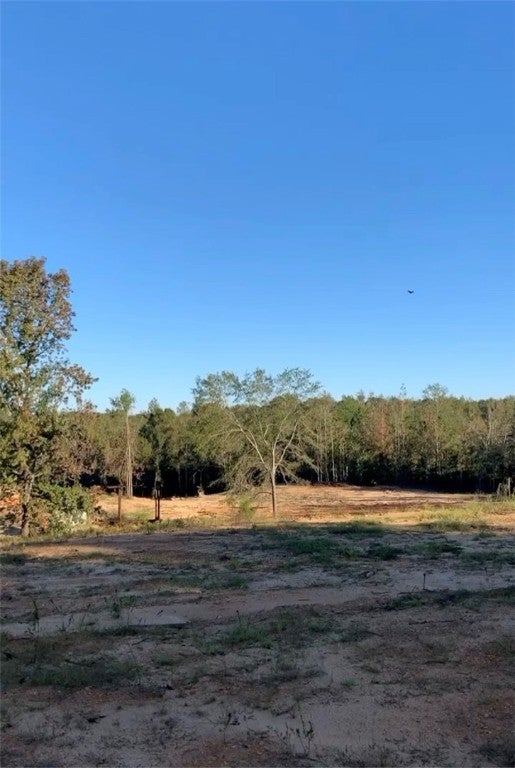 710 Mt Zion Road Wetumpka, AL 36092 - Photo 3 of 3 Gallery Image 3