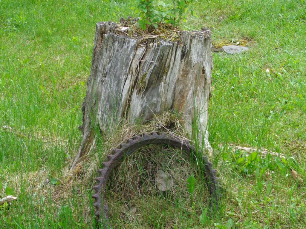 3484 Holland Pond Road Holland, VT 05830 - Photo 23 of 23 Gallery Image 23