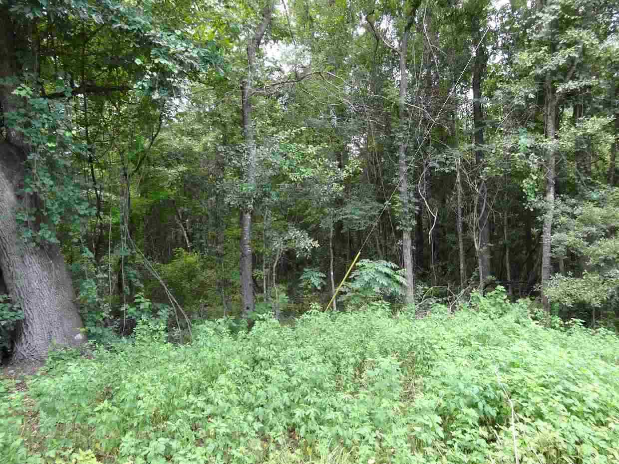 349 Chinquapin Road Monticello, FL 32344 - Photo 2 of 7 Gallery Image 2