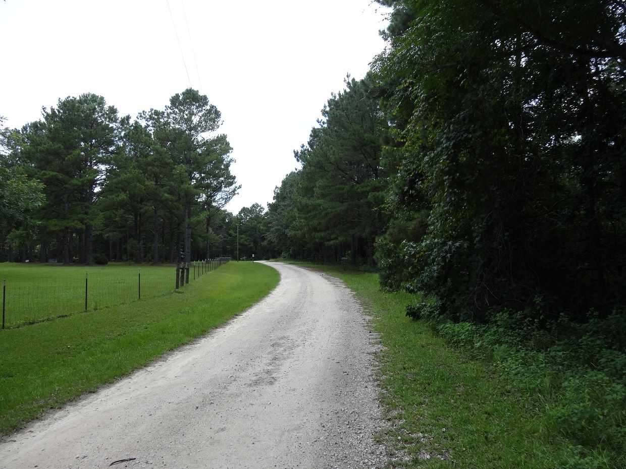 349 Chinquapin Road Monticello, FL 32344 - Photo 3 of 7 Gallery Image 3