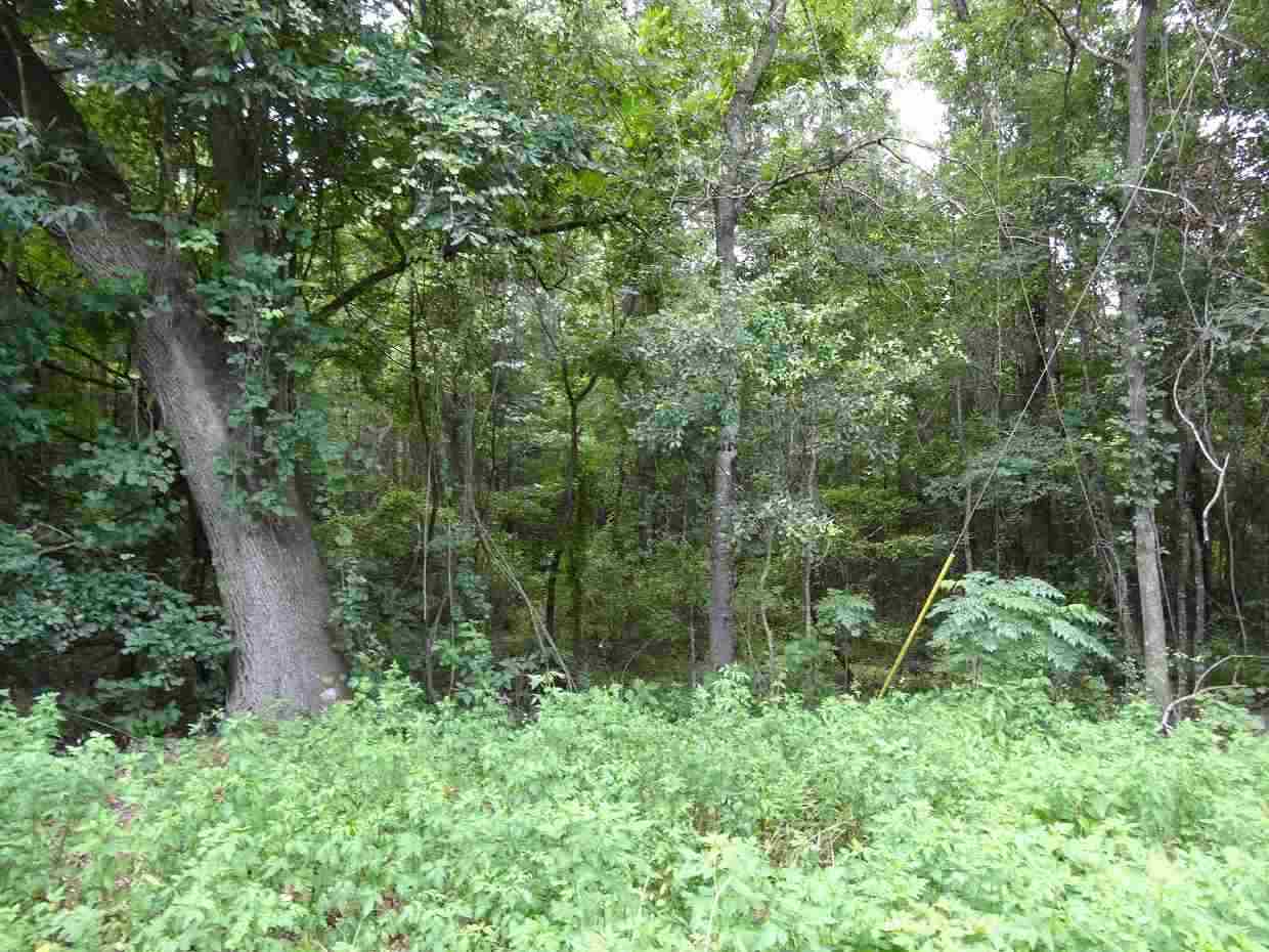 349 Chinquapin Road Monticello, FL 32344 - Photo 4 of 7 Gallery Image 4