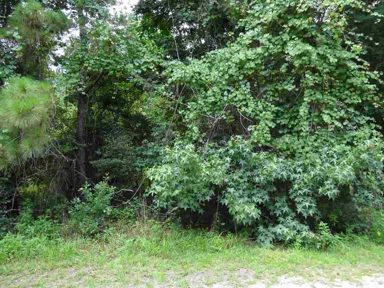 349 Chinquapin Road Monticello, FL 32344 - Photo 5 of 7 Gallery Image 5