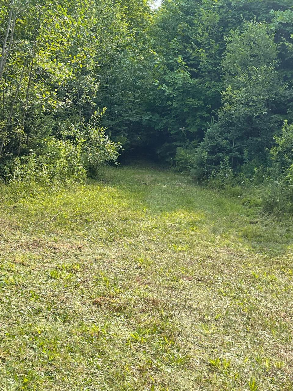 39-ac Off County Line Lake Road Watersmeet, MI 49969 - Photo 16 of 18 Gallery Image 16