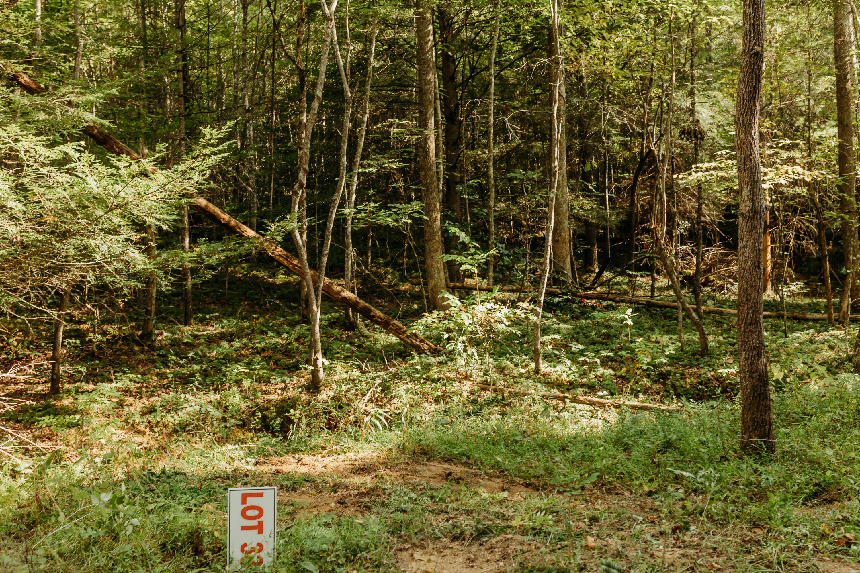Lot 33 Lower Holler Top Road Campton, KY 41301 - Photo 1 of 11 FO7A1095