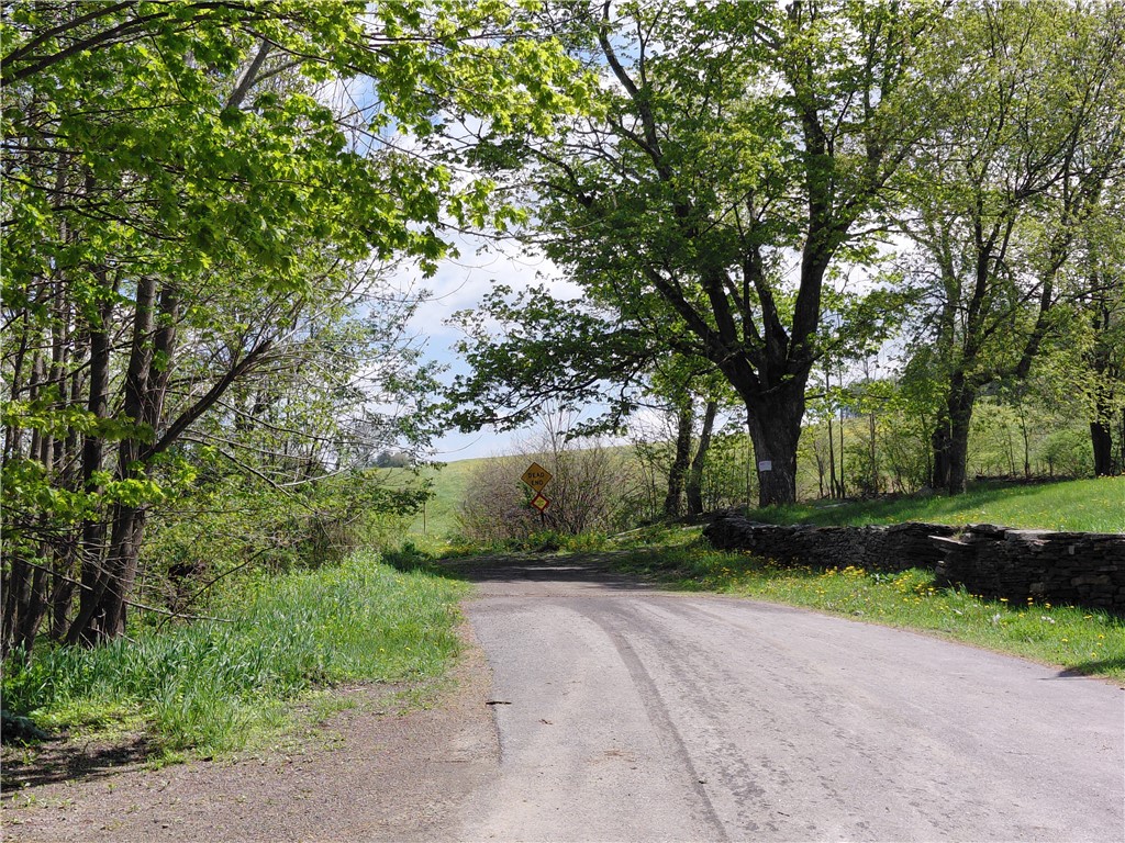 474 Dibble Road Harpersfield, NY 13788 - Photo 28 of 29