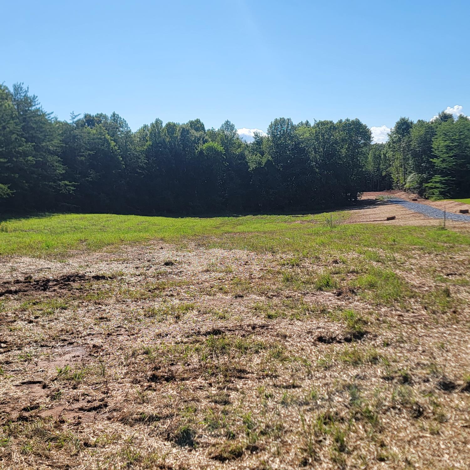 24-lot Down Creek Road Brookneal, VA 24528 - Photo 2 of 8 a view of a yard