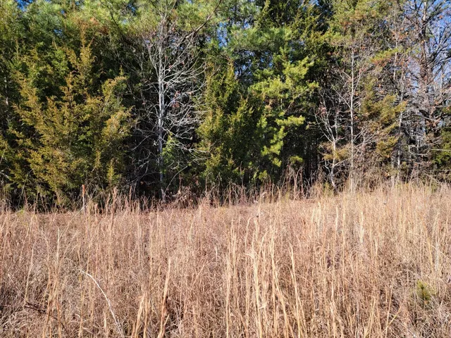 $94,744 | 24-lot Down Creek Road, Brookneal, VA 24528