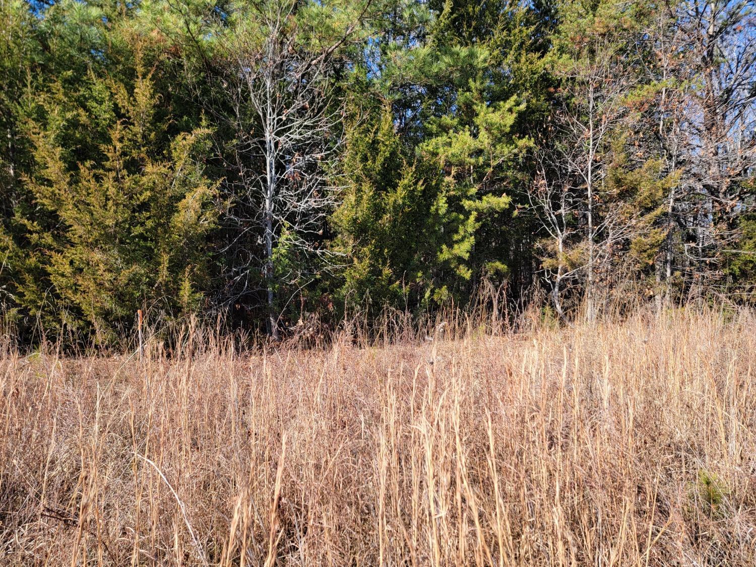 24-lot Down Creek Road Brookneal, VA 24528 - Photo 8 of 8 a view of small space with a wooden fence