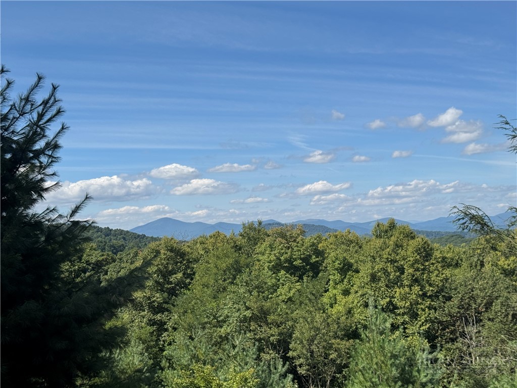 Lot 5 Wapiti Way Boone, NC 28607 - Photo 29 of 37 Gallery Image 29