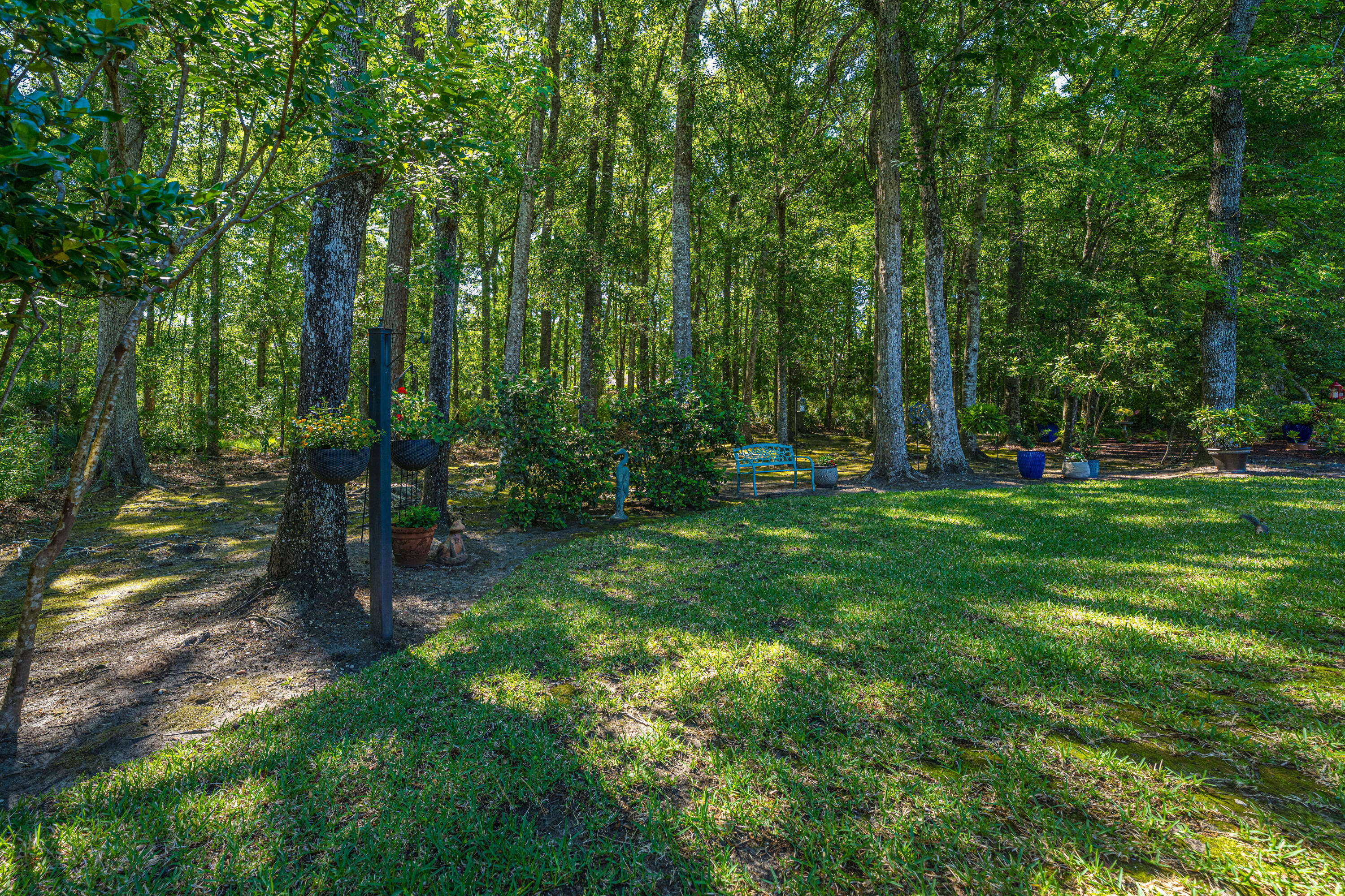 2801 Rosedown Point Mount Pleasant, SC 29466 - Photo 45 of 74