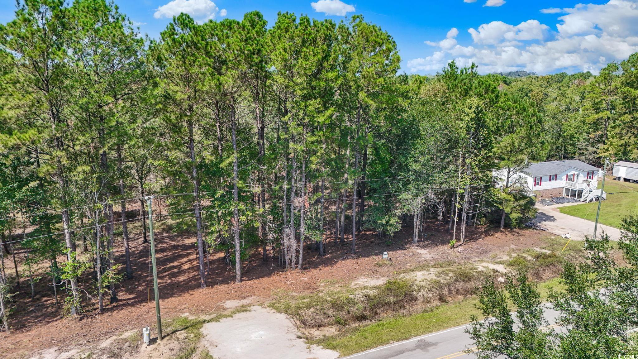 2031 Lees Landing Circle Conway, SC 29526 - Photo 6 of 12 Bird's eye view of a large body of water and a forest