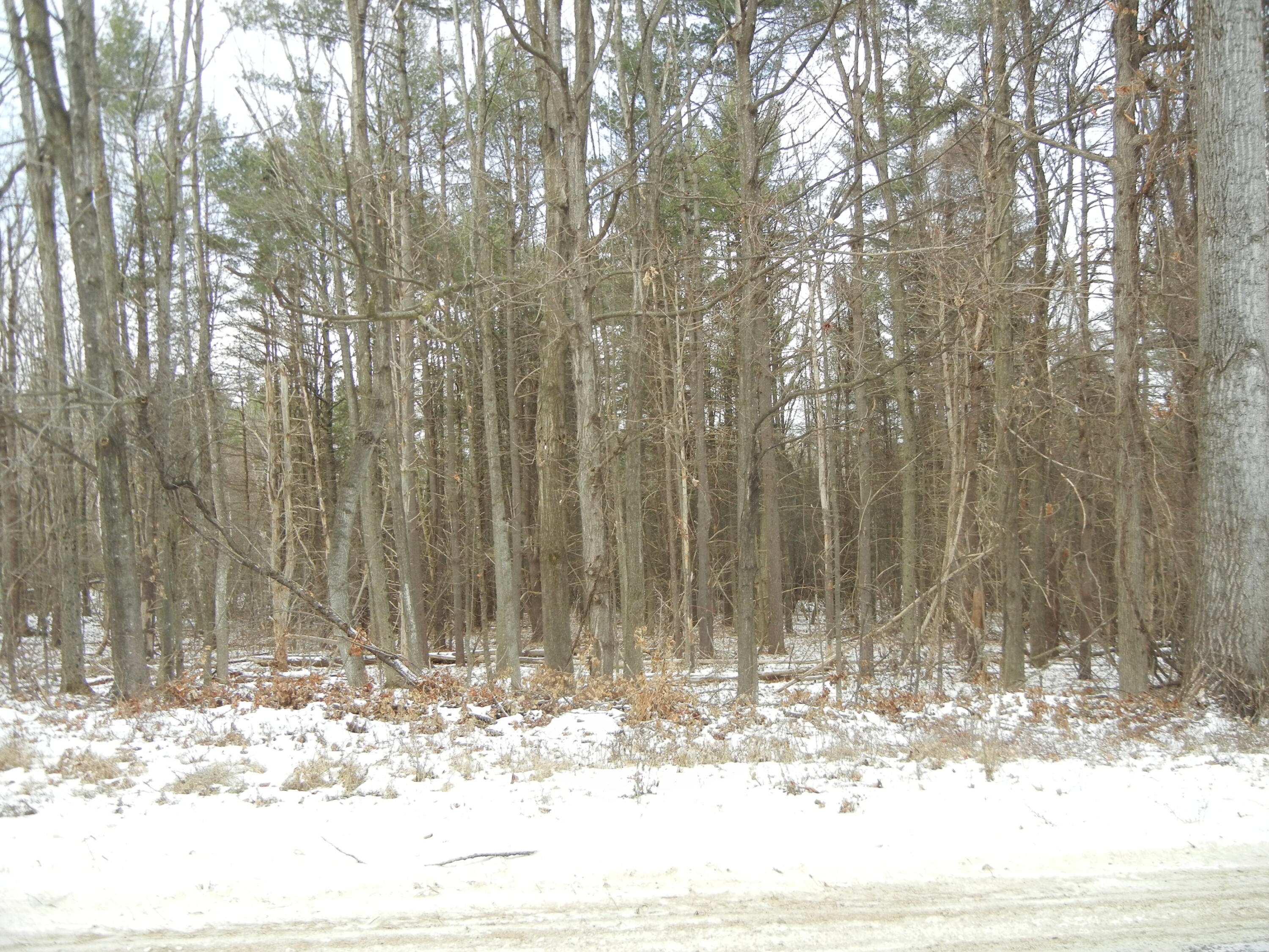 0 Soper Road Keeseville, NY 12944 - Photo 2 of 3