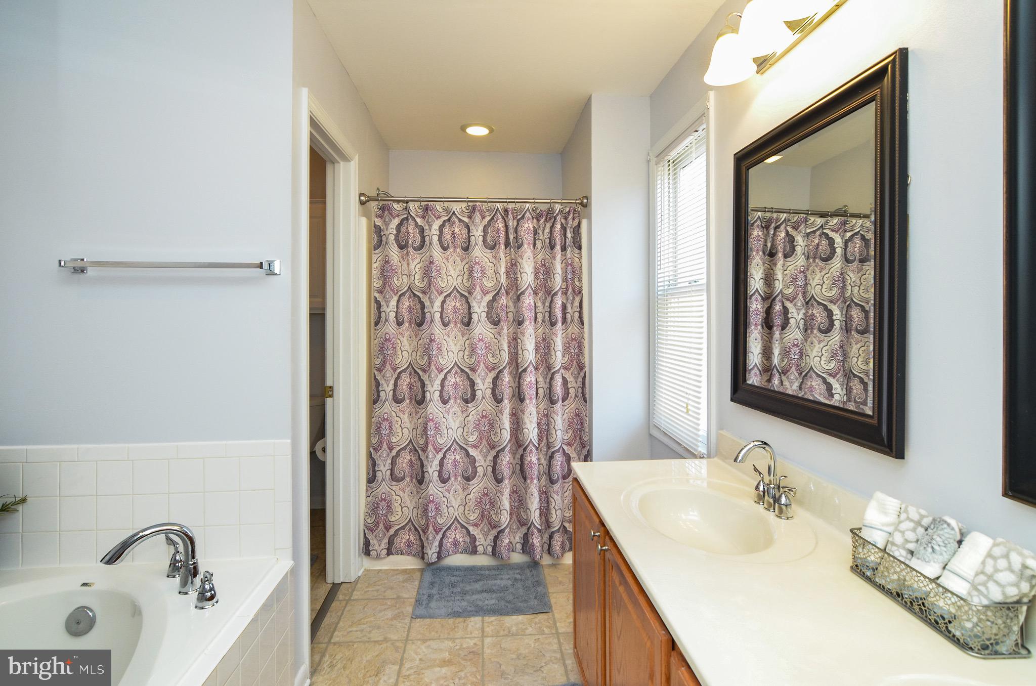 948 Ramoth Church Road Fredericksburg, VA 22406 - Photo 27 of 61 Bath (Master)