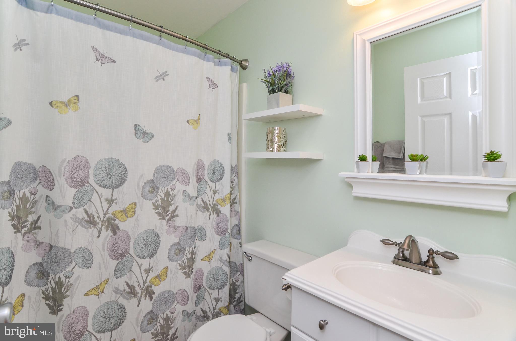 948 Ramoth Church Road Fredericksburg, VA 22406 - Photo 37 of 61 Bathroom (Hall)